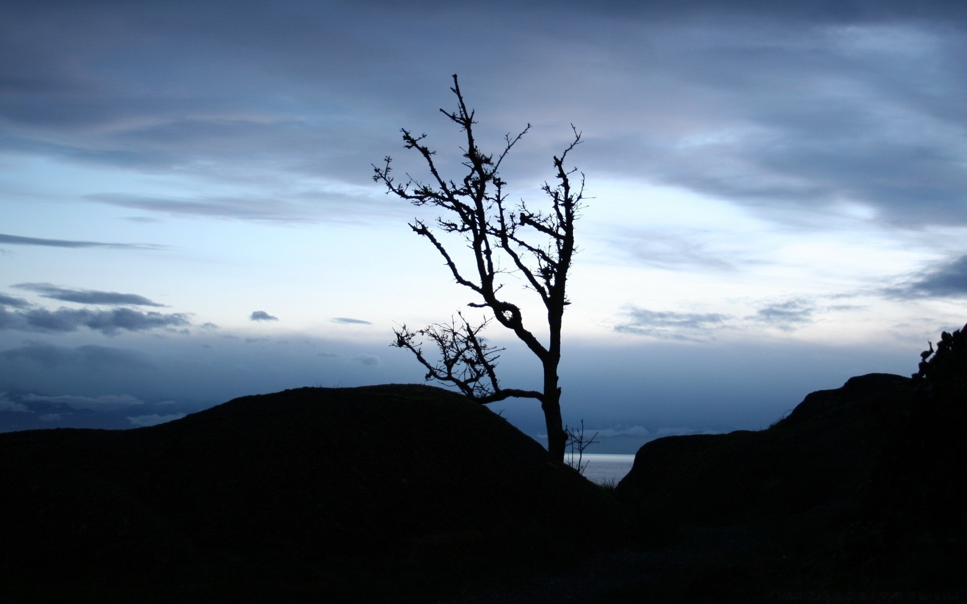 landscapes landscape tree sky sunset mountain dawn evening silhouette nature dusk backlit fog light outdoors travel scenic cloud weather