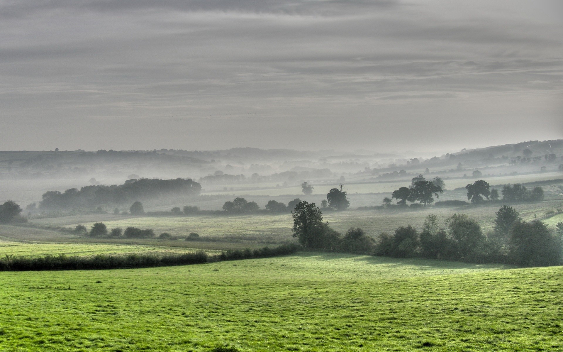 landscapes landscape agriculture tree cropland farm nature field outdoors grass sky hayfield countryside hill pasture scenic daylight summer