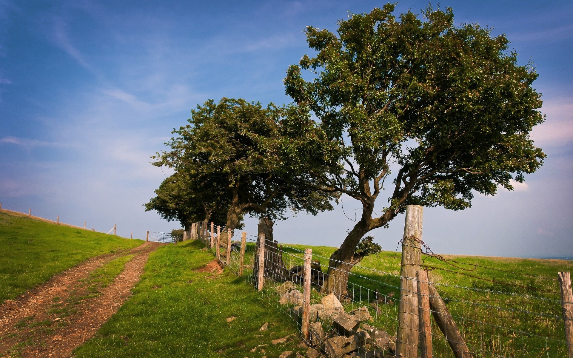 landschaft baum landschaft gras himmel natur im freien holz landschaft landwirtschaft tageslicht feld ländlichen reisen land guide heuhaufen straße sommer landschaftlich