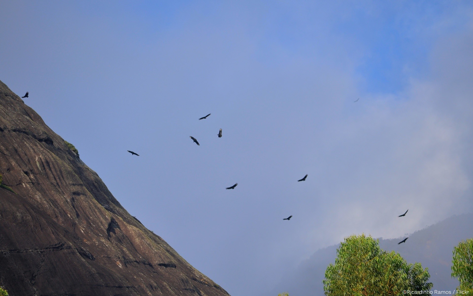 paesaggio uccello cielo luce del giorno paesaggio all aperto viaggi albero natura volo fauna selvatica