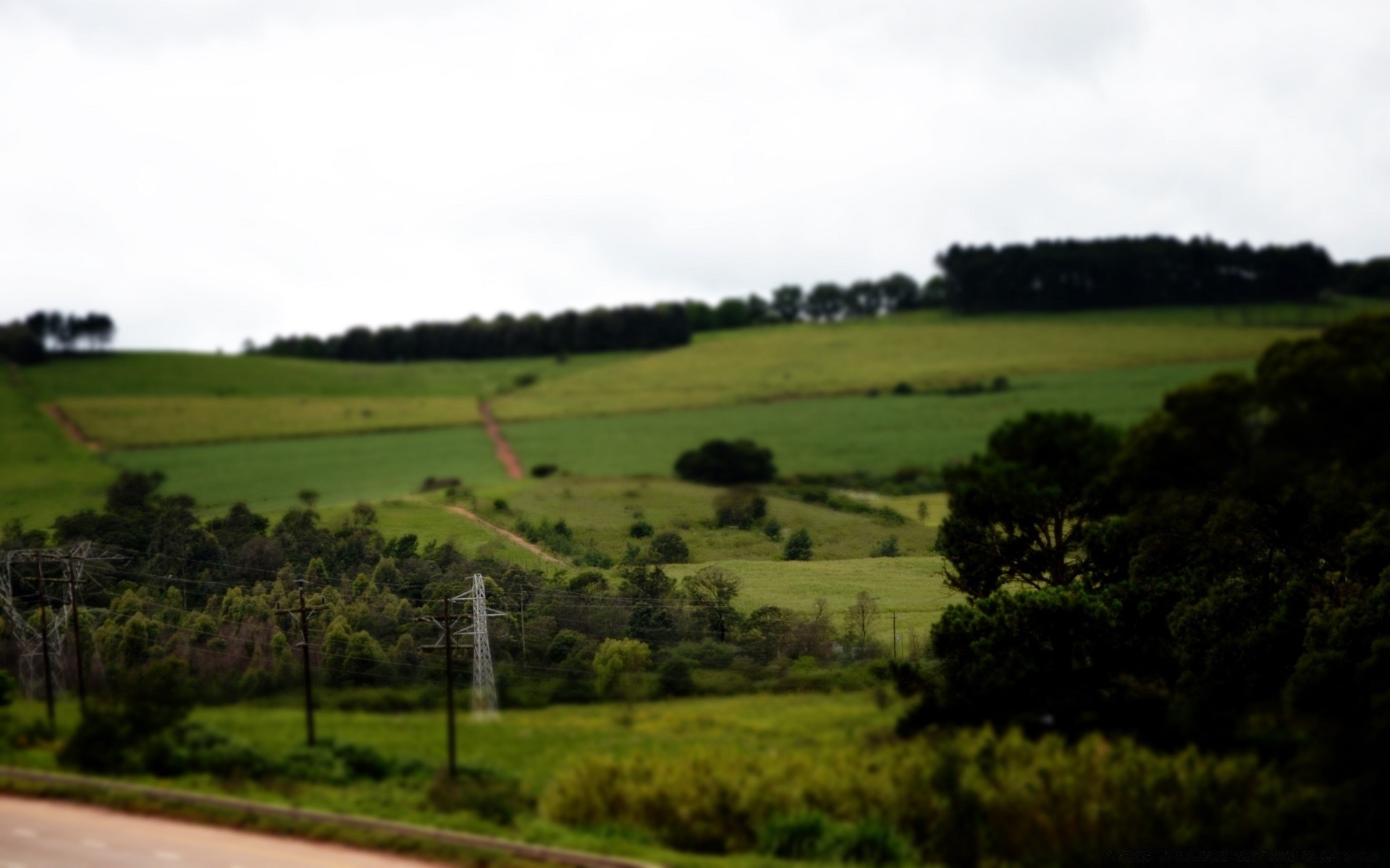 landscapes landscape tree agriculture grass field outdoors farm nature hayfield countryside rural daylight sky summer cropland pasture scenic environment wood