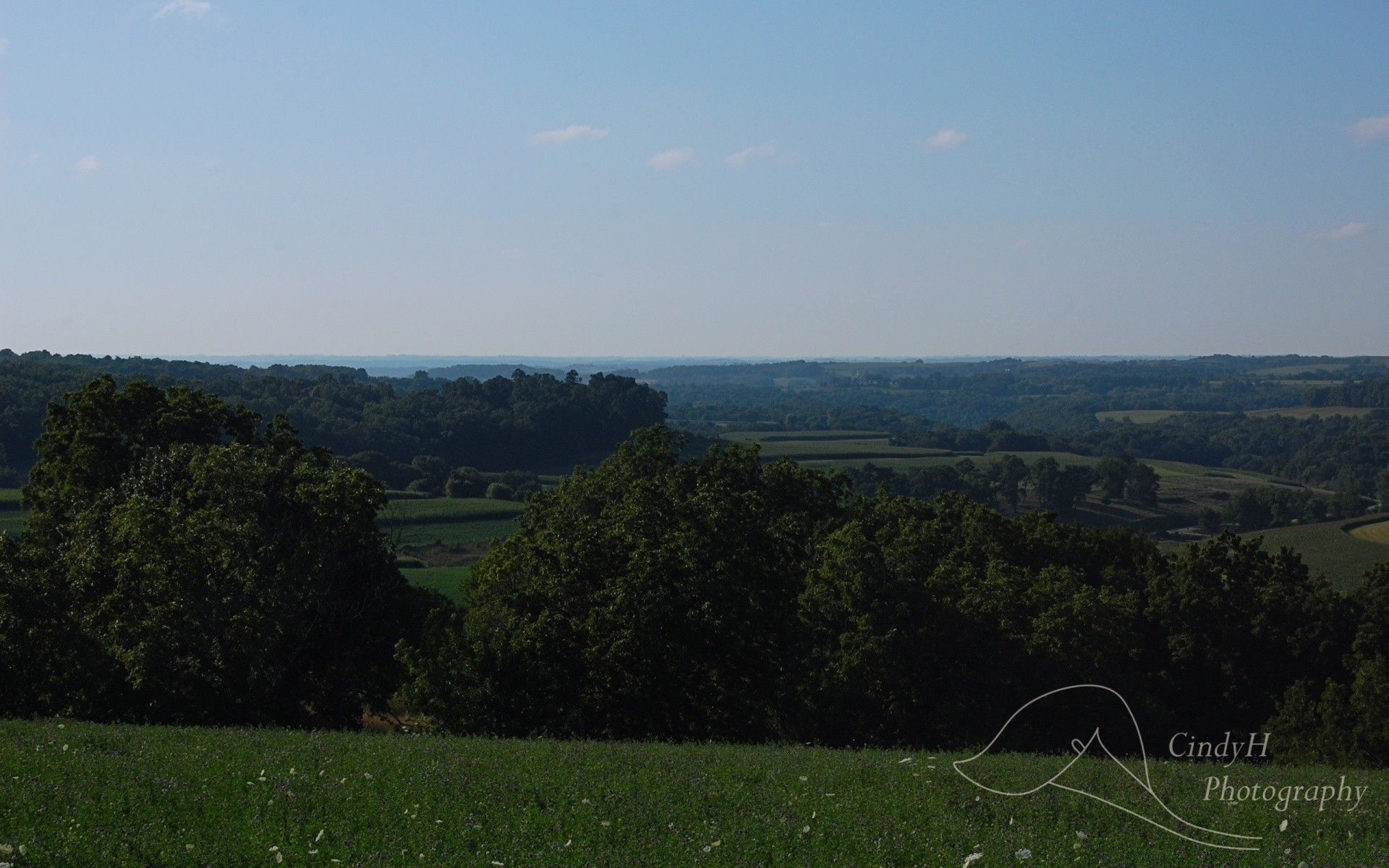 landschaft landschaft baum hügel himmel tageslicht bebautes land im freien landwirtschaft reisen berge landschaftlich natur weiden holz gras landschaft