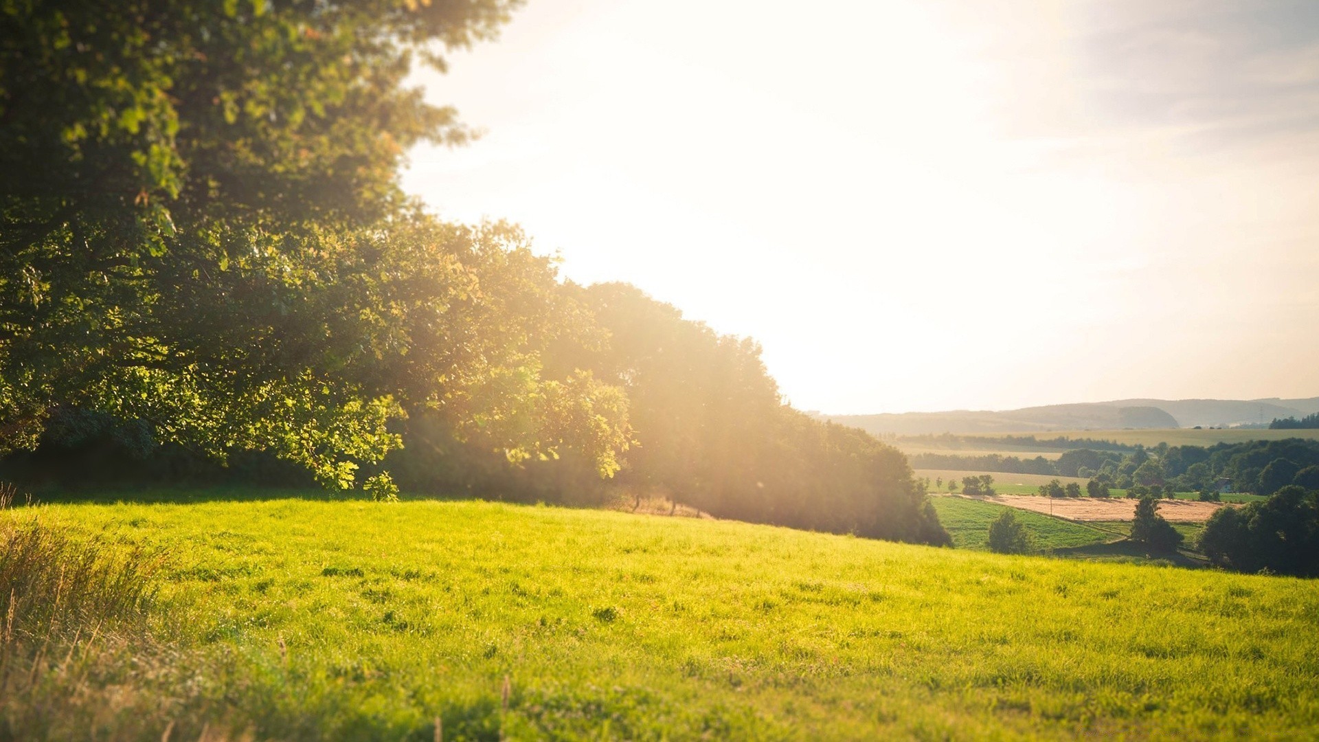 landschaft landschaft natur gras im freien baum feld sommer landschaft landwirtschaft dämmerung des ländlichen heuhaufen landschaftlich himmel bebautes land bauernhof gutes wetter sonne idylle