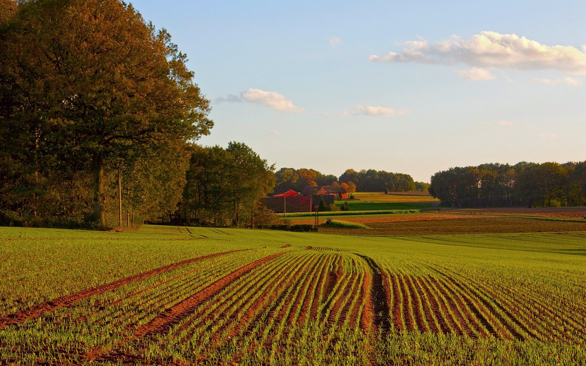 paisagens agricultura terras cultivadas fazenda paisagem rural campo campo colheita natureza ao ar livre crescimento árvore terras agrícolas solo verão país céu pasto