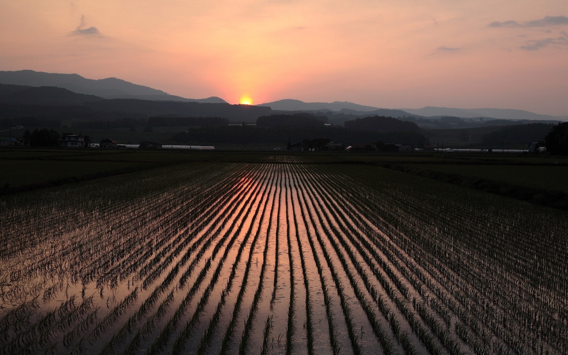 landschaft bebautes land sonnenuntergang landschaft landwirtschaft dämmerung reisen himmel natur im freien abend bauernhof