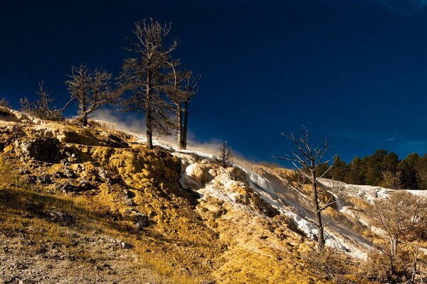 Steinlandschaft mit Baum