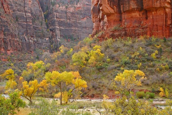 Amazing autumn paints nature with its colors