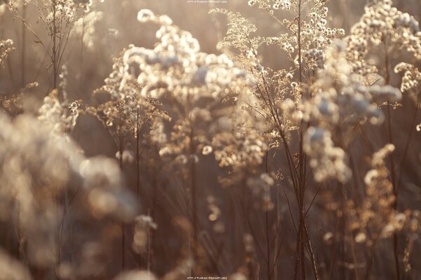 Beautiful autumn cold landscape