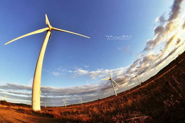 Amanecer iluminando molinos de viento