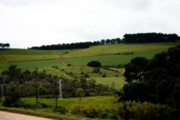 Beautiful landscape of rural fields