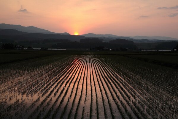 Bewirtschaftetes Land vor Sonnenuntergang Hintergrund