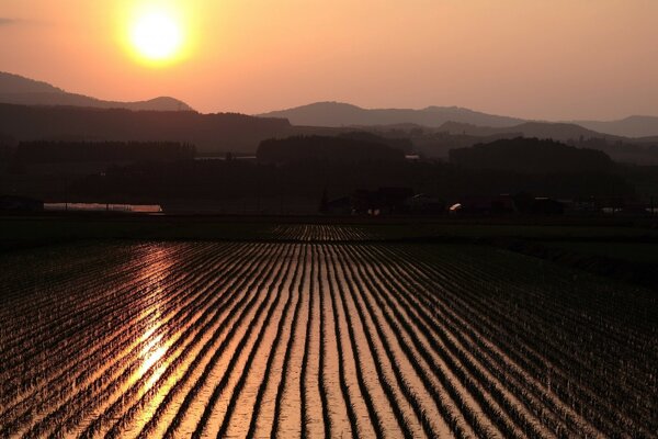 Bellissimo paesaggio con Tramonto