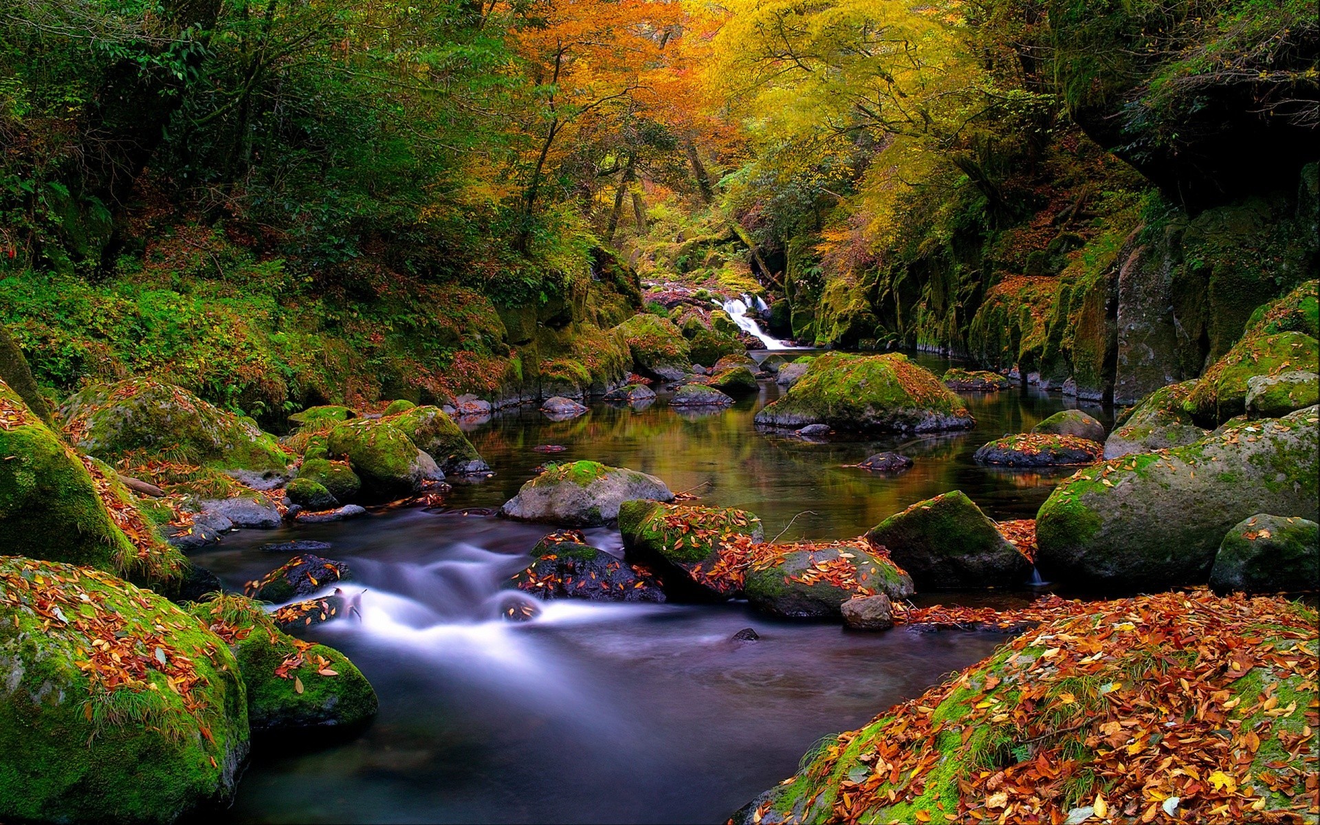 mountains fall water river nature wood leaf landscape waterfall stream tree outdoors rock travel creek mountain scenic moss lush park