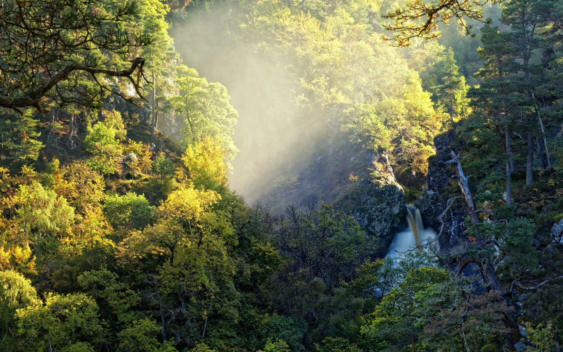 montañas madera árbol paisaje naturaleza hoja otoño escénico parque niebla al aire libre niebla temporada montañas paisaje exuberante medio ambiente viajes buen tiempo luz del día