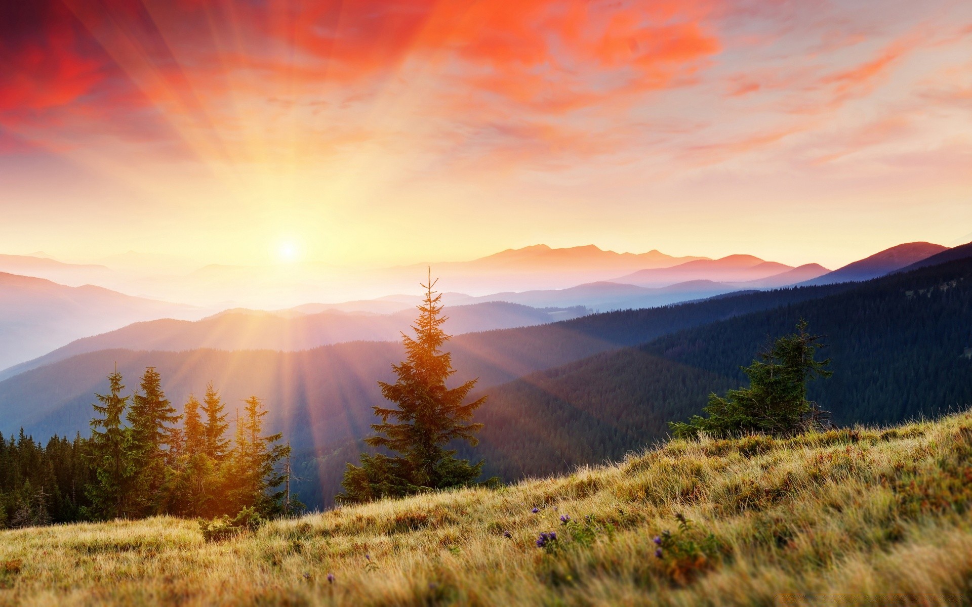 berge natur landschaft herbst im freien dämmerung sonnenuntergang berge himmel holz holz reisen schnee gutes wetter nebel landschaftlich gras