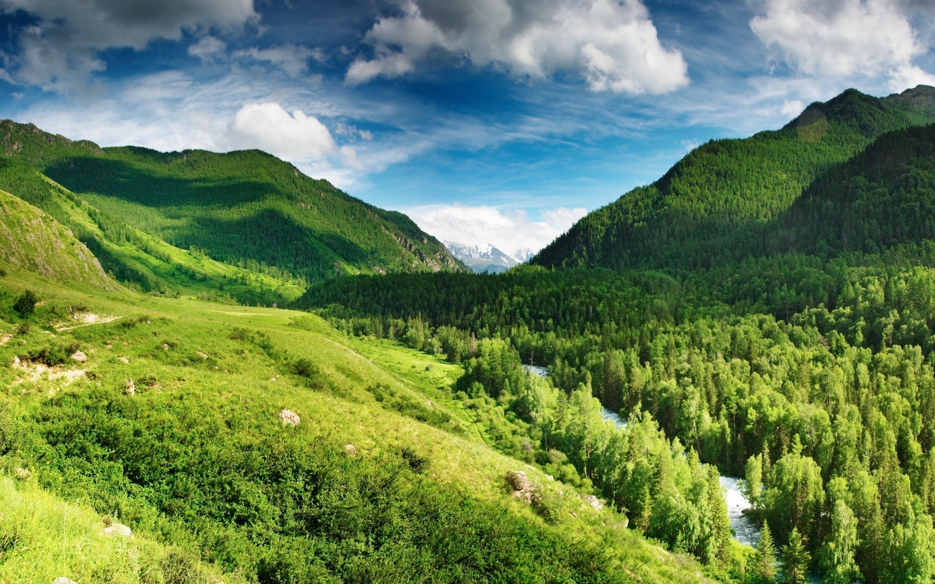 montagnes paysage nature montagne colline voyage ciel vallée à l extérieur été herbe nuage bois foin scénique bois rural spectacle campagne champ