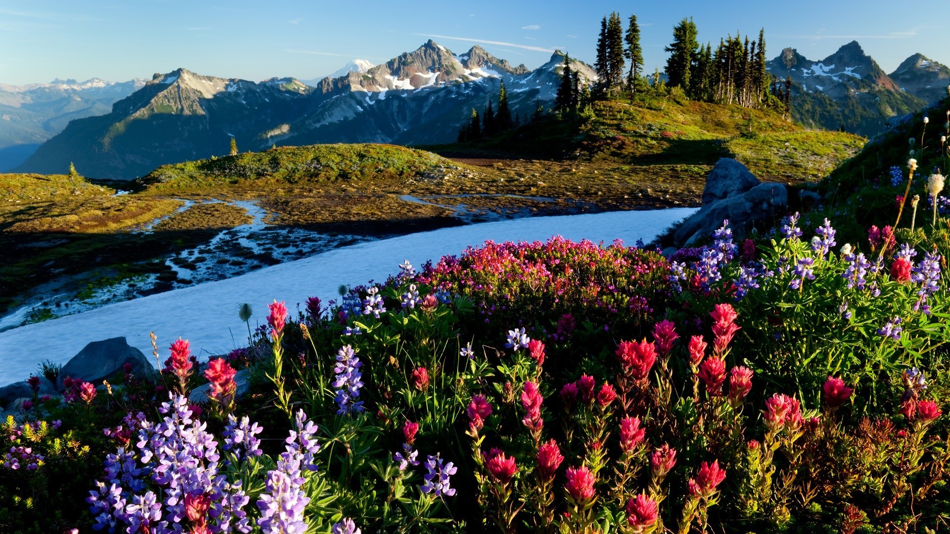 mountains mountain nature landscape outdoors lake scenic water reflection flower travel summer hayfield