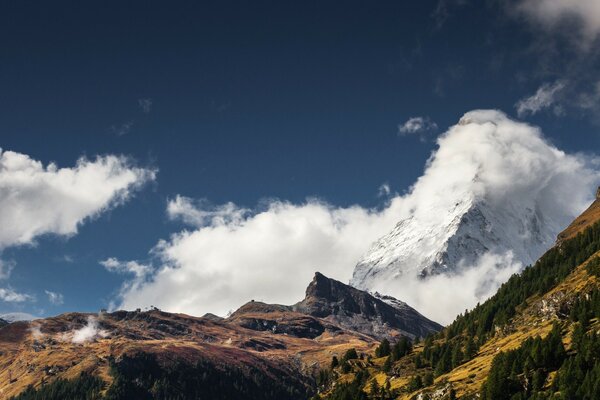 Ein gebirgiger Nadelwald und ein hoher mächtiger Berg