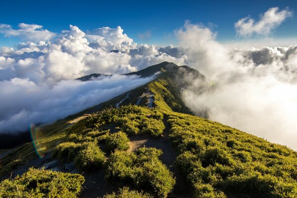 Cimas de las montañas cubiertas de vegetación, con nubes