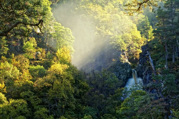 Una mattina di risveglio nella taiga