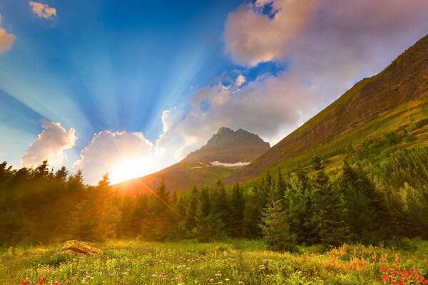 Green mountain landscape with fir trees bright sun blue sky with clouds