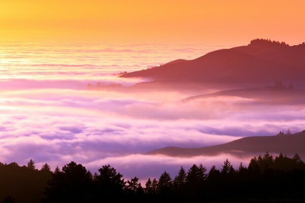 Lilac mist over the forest and mountains at sunset