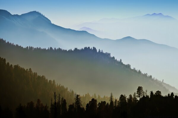 Bunte Berge und Wald im Nebel