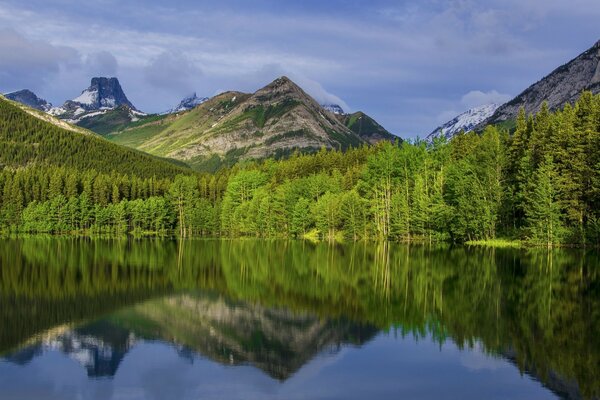 A mirror image of the forest in the surface of the lake