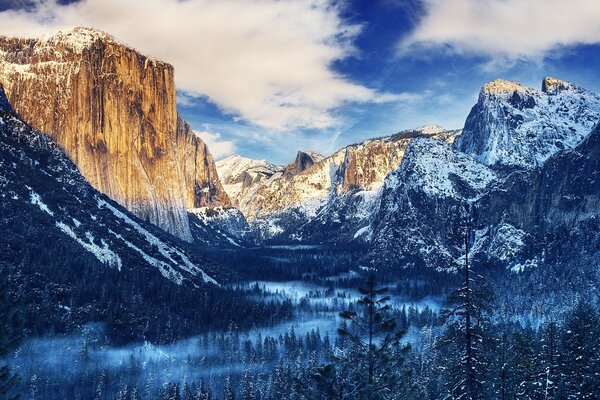 Yellowstone-Nationalpark im Winter