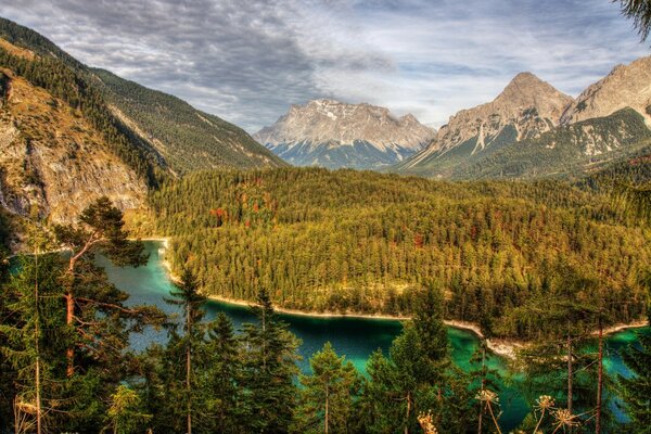 A forest island in the middle of a mountain lake