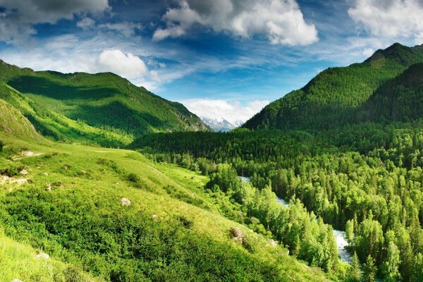 Journée d été ensoleillée dans les montagnes