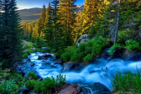 Landscape stormy mountain river