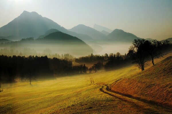 Der Weg führt in die Nebelberge