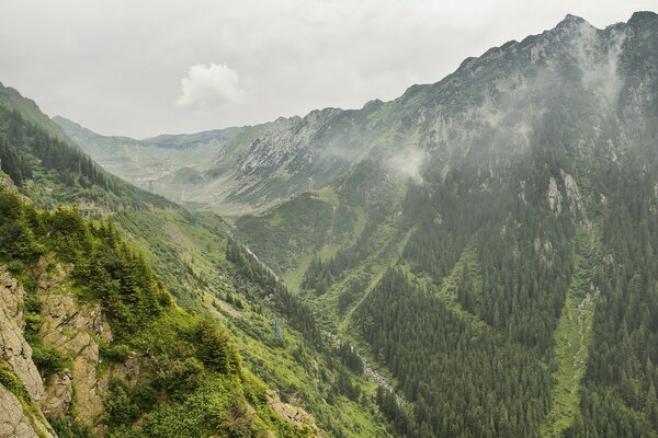 सुबह कोहरे में पहाड़ों की प्रकृति