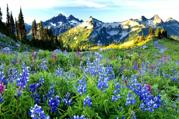 Beautiful mountains on the computer