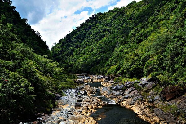 Mountain reaa among the green slopes