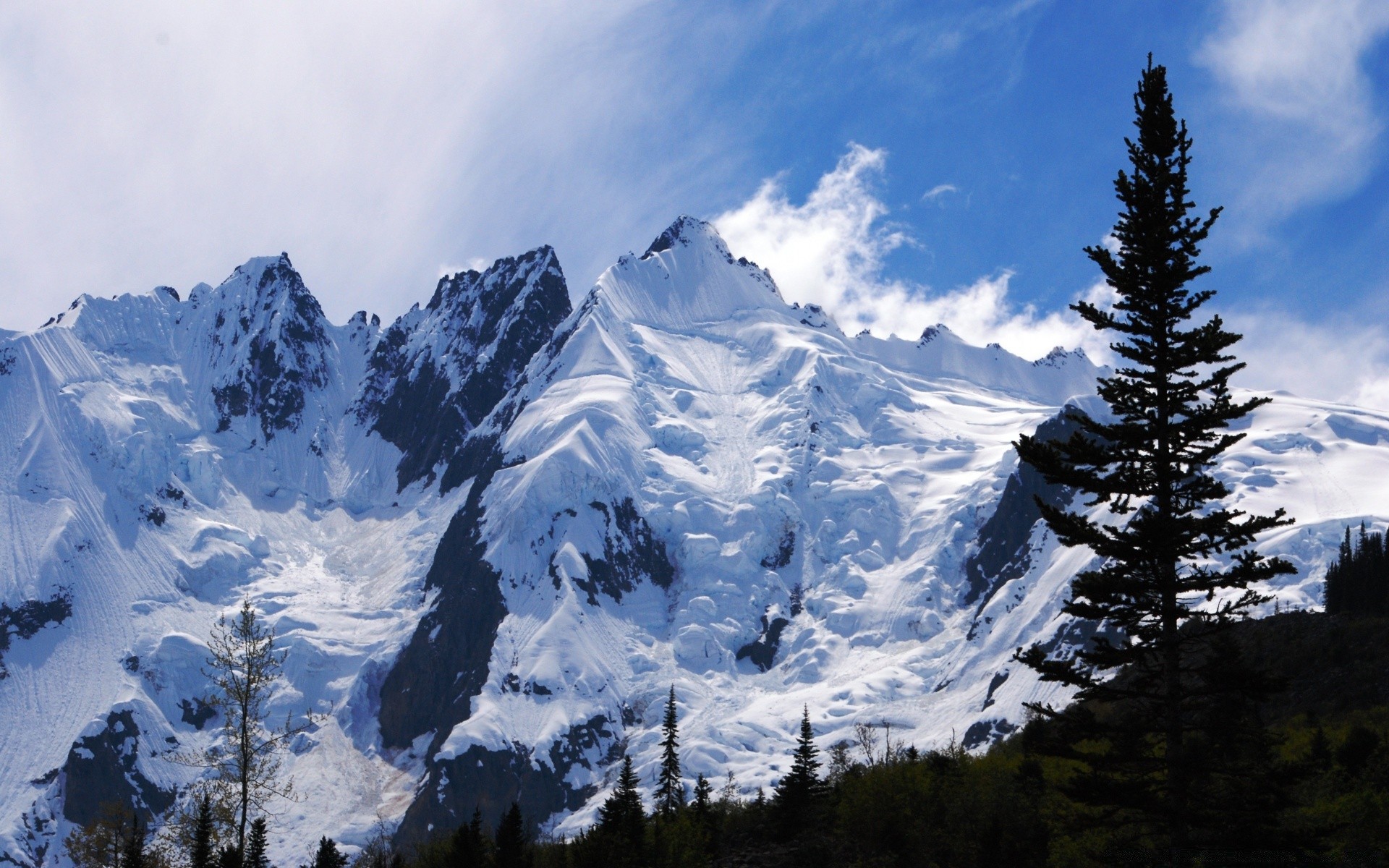 berge schnee berge winter landschaftlich nadelholz kälte evergreen tageslicht holz im freien landschaft eis