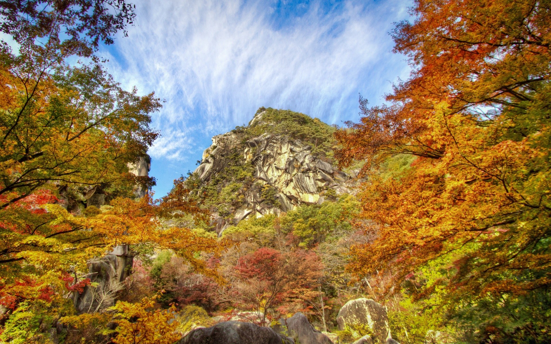 山 秋天 叶子 景观 自然 木材 木材 风景 户外 公园 季节 枫树 风景 山 场景 环境 旅游 日光 徒步旅行 好天气