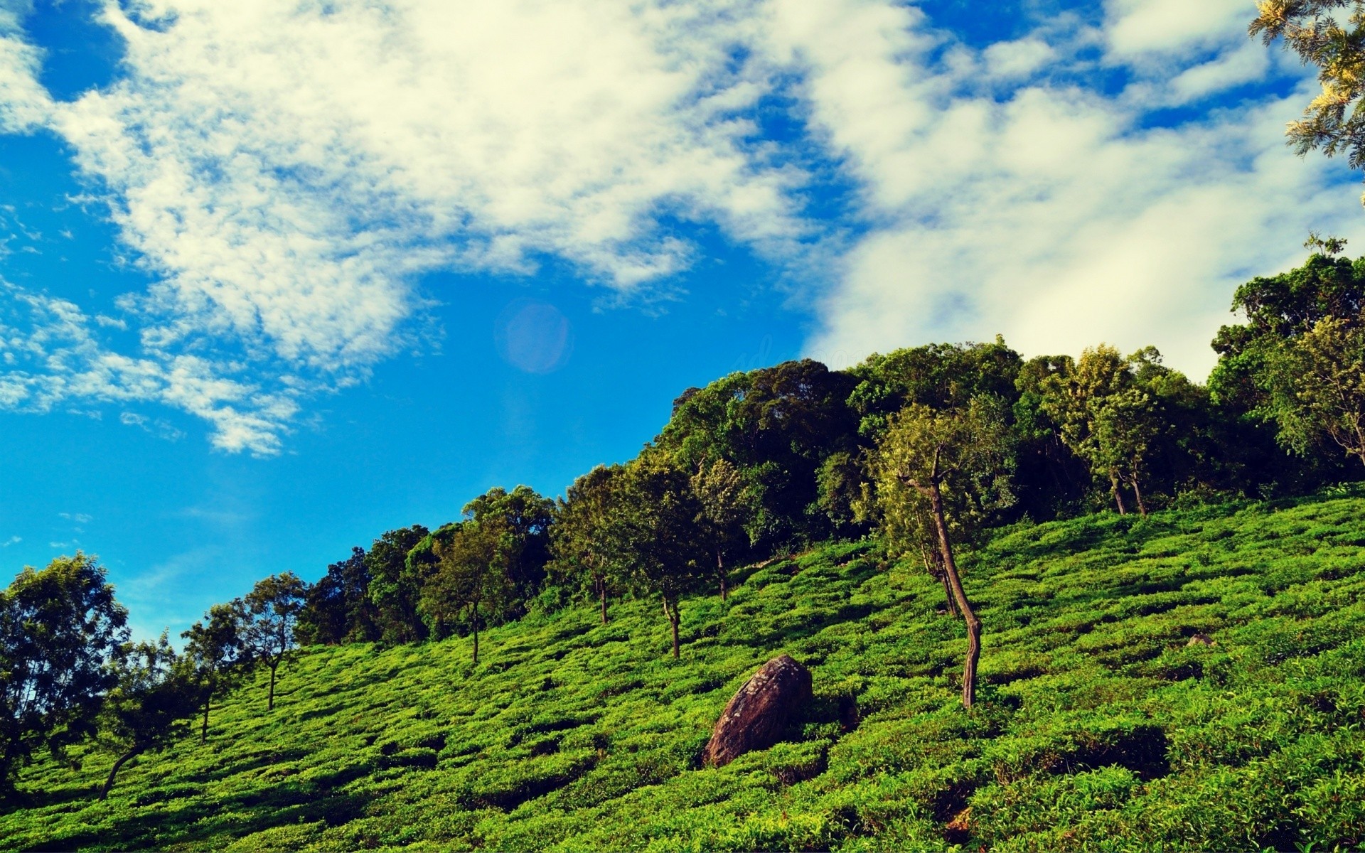 mountains landscape nature tree sky outdoors hill travel grass mountain scenic field agriculture summer wood daylight rural countryside hayfield cloud