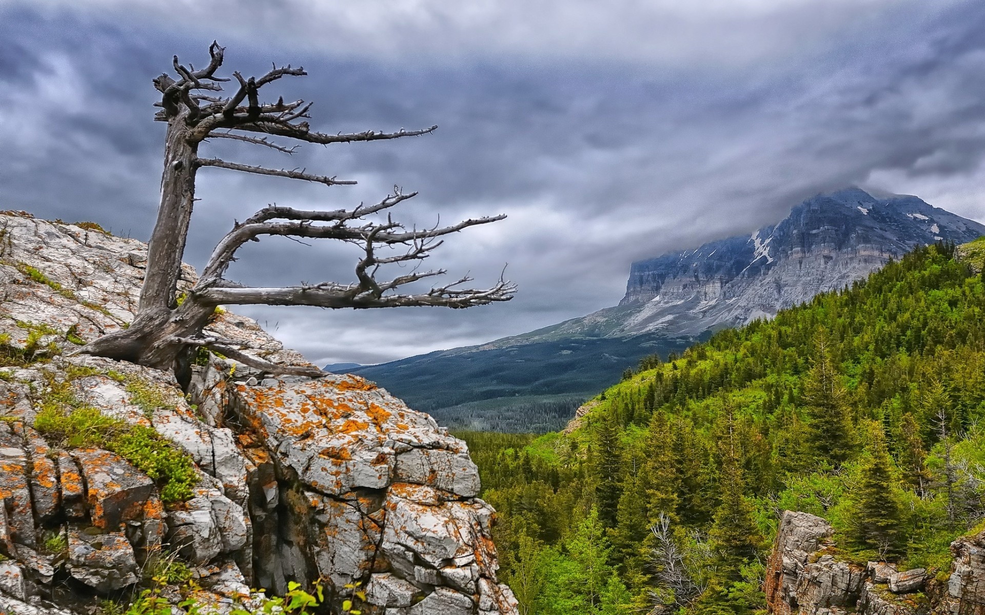 montagna natura montagna viaggi all aperto cielo paesaggio legno roccia albero scenic neve estate acqua alta rocky valle selvaggio trekking