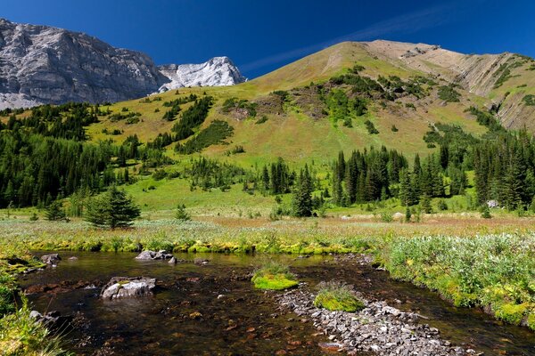 Voyage vers les montagnes. Nature.. Paysage