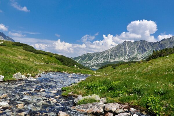 Reise zum Bergfluss