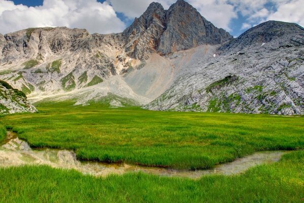 The green foot of the mountain. Nature