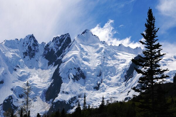 Schneebedeckte Gipfel der hohen Berge