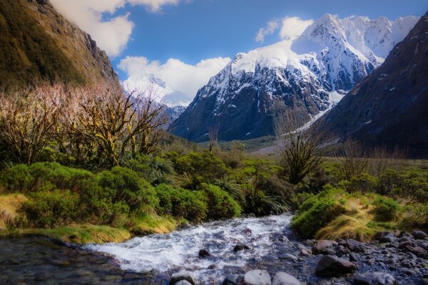 Increíble belleza paisaje de montaña