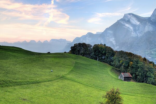 Collines verdoyantes près des montagnes