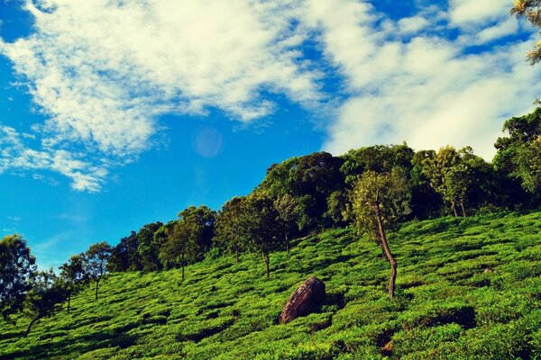 प्रकृति का एक अद्भुत परिदृश्य । नीला आकाश