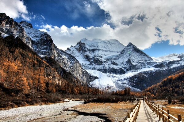 Mountain coolness near a wooden trail