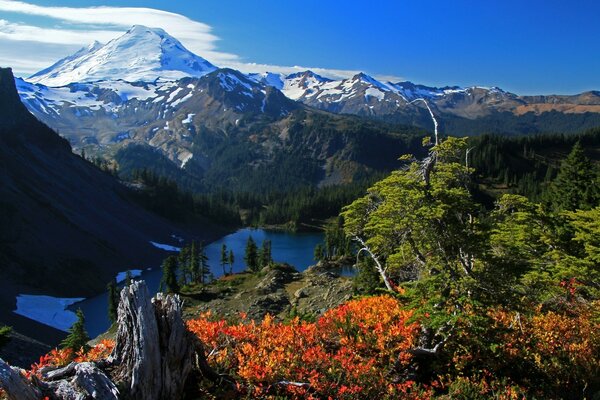 Hermosa vista de la montaña, bosque, lago desde arriba