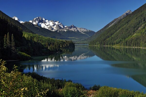 Lago de montaña en verano